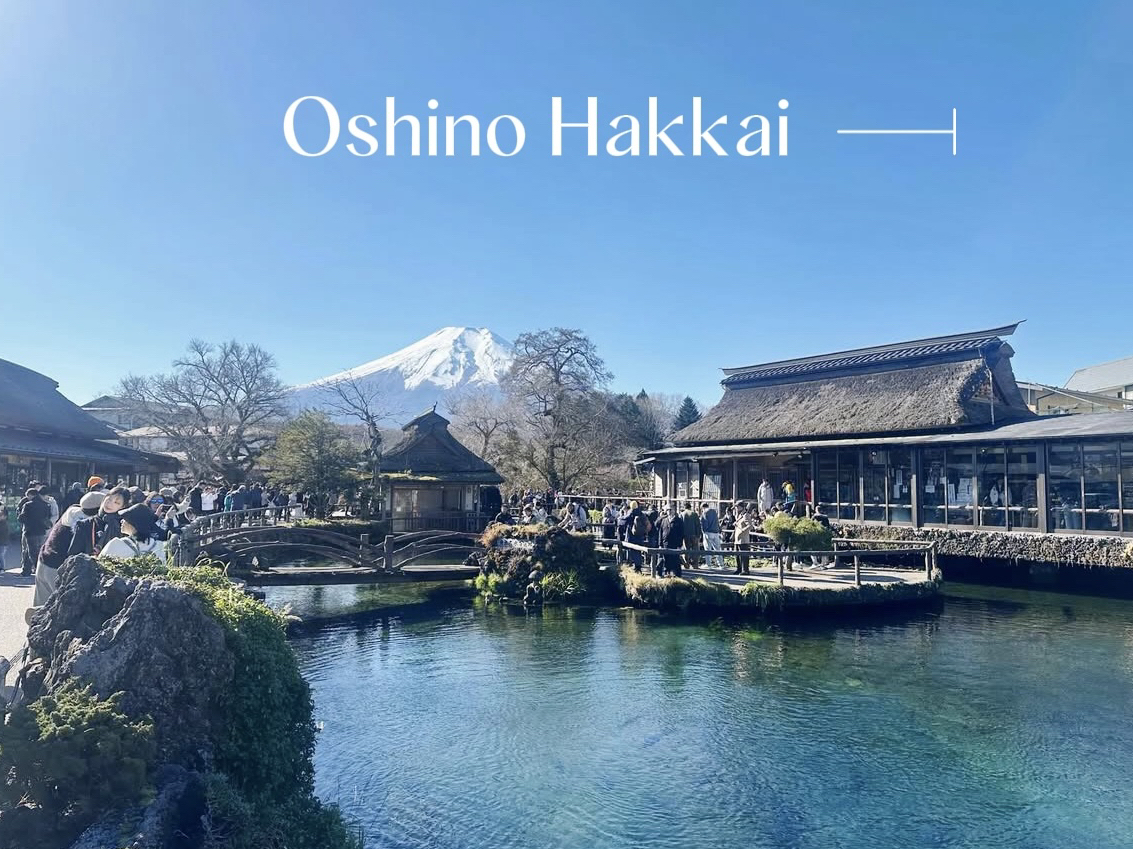 #AdventureTrip

忍野八海（忍野八海）是個迷人的傳統日式村莊，位於河口湖和山中湖之間，以其八個原始的聖池而聞名。 💧
十二月來此遊玩，可聞到晚秋落葉的芬芳🍁，並伴隨清爽涼風❄️。清澈的湖水倒映著富士山，營造出如夢似幻的美景。是攝影師和自然愛好者的理想選擇。 📸

⸻

🎟 門票
• 步行：免費
• 內部歷史建築或小型博物館：300 日元 - 500 日元

⸻

🚉 交通

📍 地點：日本山梨縣忍野市
• 從河口湖站搭乘巴士前往忍野八海（約 20 分鐘）
• 或者，您也可以租自行車或汽車，方便地遊覽富士五湖。 🚲🚗

⸻

✨ 十二月亮點
• 深秋落葉🍁：金色和紅色的色調持續為美麗的池塘增添色彩。
• 清澈見底的湖水💧：富士山融雪形成的倒影令人驚艷。
• 壯麗的富士山景色🗻：在秋葉中欣賞富士山。
• 歷史村落🏯：漫步在茅草屋之間，品嚐當地甜點。
• 寧靜的氛圍❄️：遊客較少，讓旅程更加輕鬆。

⸻

🌿 總結

如果您想體驗深秋的魅力，並欣賞冬季富士山的壯麗景色，忍野八海絕對是您的必遊之地。 🗻🍁
這裡有清澈見底的池塘、壯麗的富士山景色以及傳統的日式鄉村氛圍。這是一個寧靜祥和的地方，能帶來獨特的體驗✨
⸻

#忍野八海 #富士山 #日本秋季 #TripcomReview #富士五湖 #日本旅遊 #忍野八海 #富士山 #TravelJapan #JapanReview