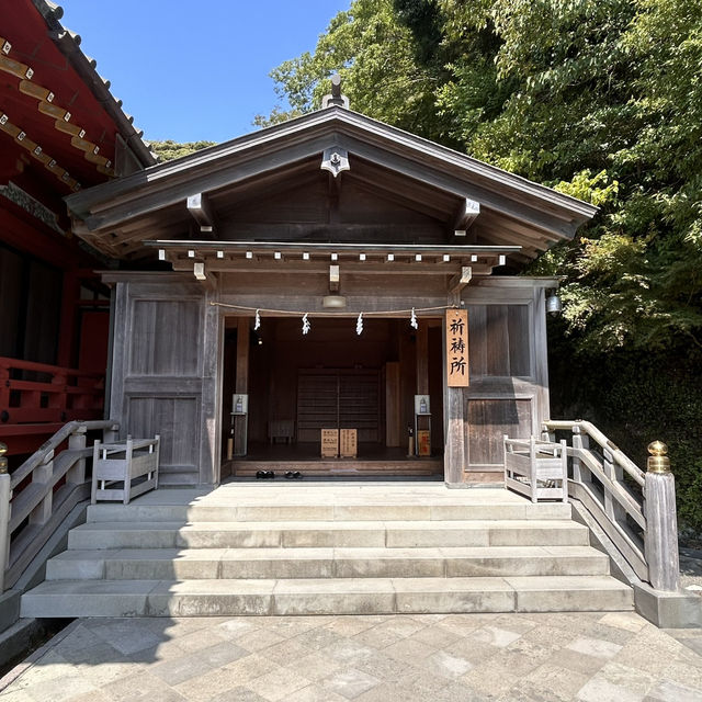 The Soul of Kamakura: A Solo Visit to Tsurugaoka Hachimangu Shrine ⛩️