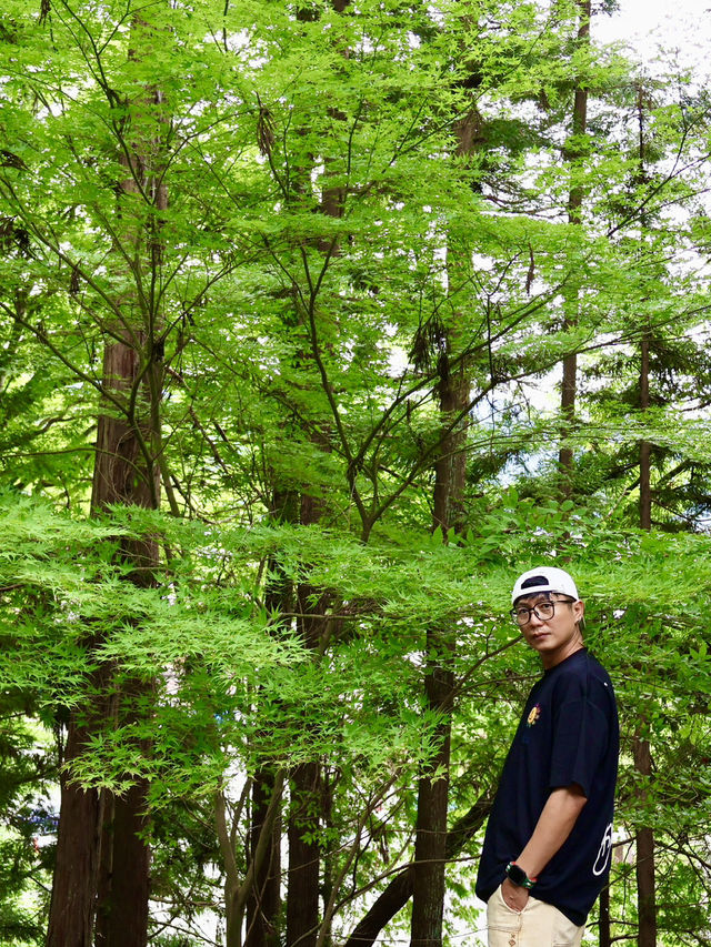飛驒高山老街近郊的飛驒山王宮-日枝神社 飛驒高山老街近郊的飛驒山王宮-日枝神社