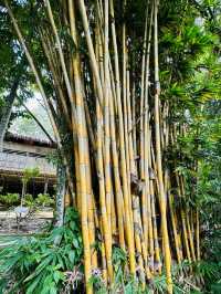 Sabah State Museum: A Window into Borneo’s Heritage
