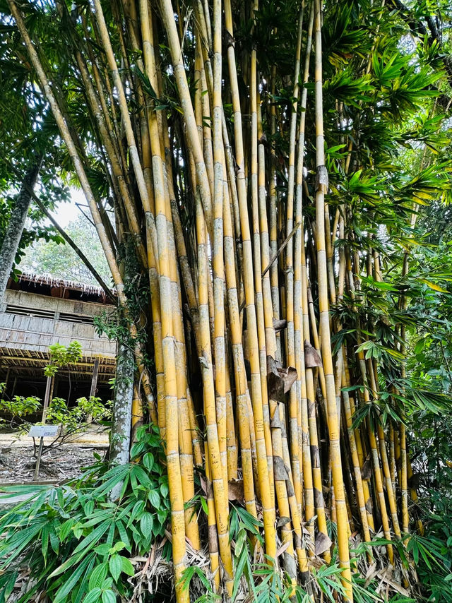 Sabah State Museum: A Window into Borneo’s Heritage