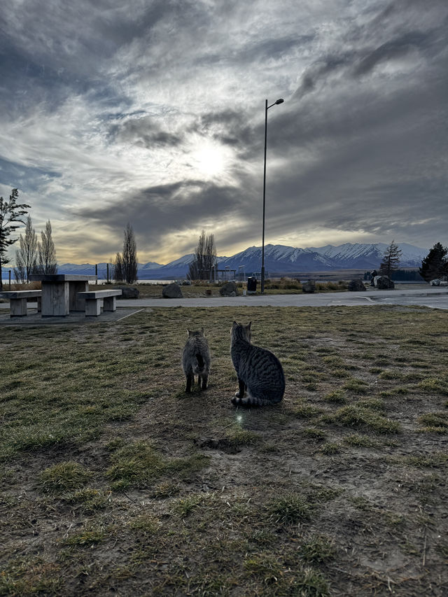 教你24個鐘頭玩轉tekapo ，港女係時間管理大師