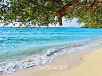 หาดเทียน เกาะล้าน