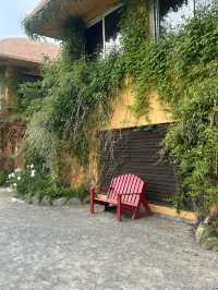 태안간다면 꼭! 바다와 숲이 어우러진 자연 속 힐링 공간