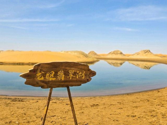 寧夏之旅🐫一定要體驗嘅嘢✨️越野闖五湖