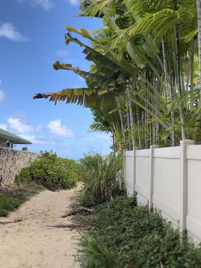【Hawaiiのローカルタウンカイルア🏝️🍔✨】自然もグルメもぎゅっと詰まった癒しスポットへ♪