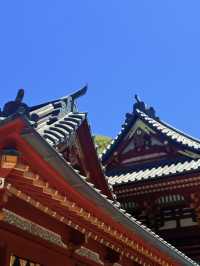 鐮倉｜不只櫻花季絕美 在荷花最美季節造訪鶴岡八幡宮