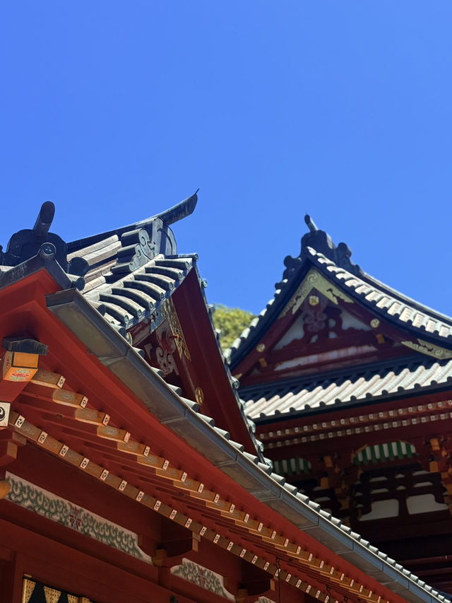 鐮倉｜不只櫻花季絕美 在荷花最美季節造訪鶴岡八幡宮