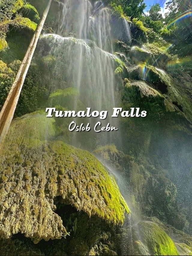 Nature’s Curtain: My Visit to Tumalog Falls, Oslob Nature’s Curtain: My Visit to Tumalog Falls, Oslob