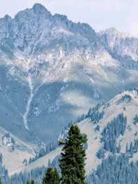 A Hidden Symphony of Meadows and Forests – Kuerdening