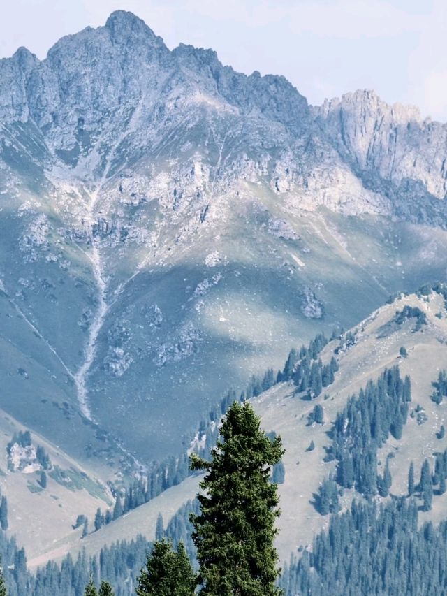 A Hidden Symphony of Meadows and Forests – Kuerdening