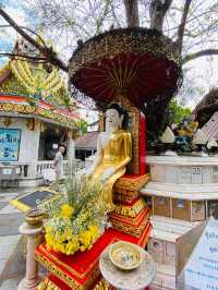 泰國🇹🇭清邁 此生看過最金光閃閃的寺廟｜素帖寺 雙龍寺