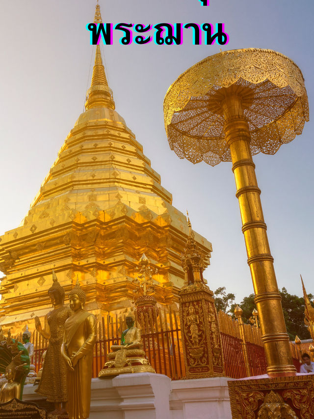 ลำปาง