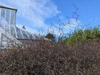 Dunedin Botanic Garden