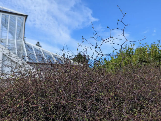 Dunedin Botanic Garden Dunedin Botanic Garden