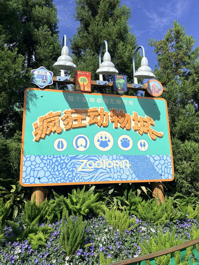 乗り物乗り放題スケールがすごい上海ディズニー🎠