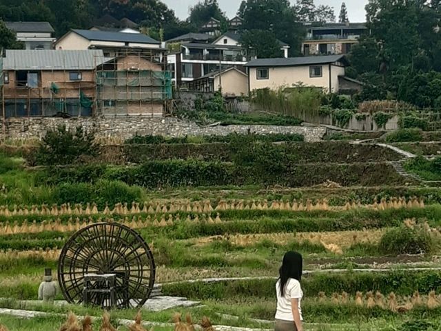 Toilet Travel & Nature Wonders: Changsha, Zhangjiajie, & Fenghuang Adventure 🌄🚽