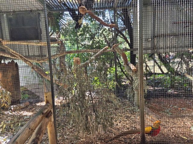 Must-visit places in Caversham Wildlife Park