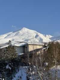 ❄️ 冬季必訪夢幻奇景｜北海道「白鬚瀑布」雪白仙境之旅