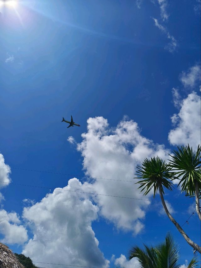 the ruby sea cafe🏝️🌊✈️ the ruby sea cafe🏝️🌊✈️