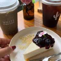 ร้าน WHITE CACTUS นนทบุรี