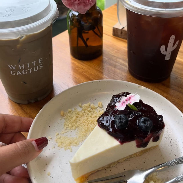 ร้าน WHITE CACTUS นนทบุรี