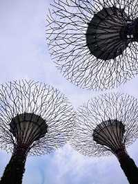 獅城新體驗 ~ 新加坡🌿