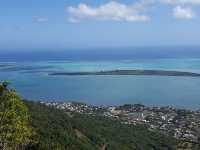 Ebony Forest Reserve Mauritius - Lovable tress on earth