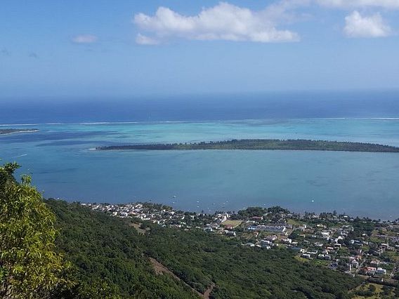 Ebony Forest Reserve Mauritius - Lovable tress on earth