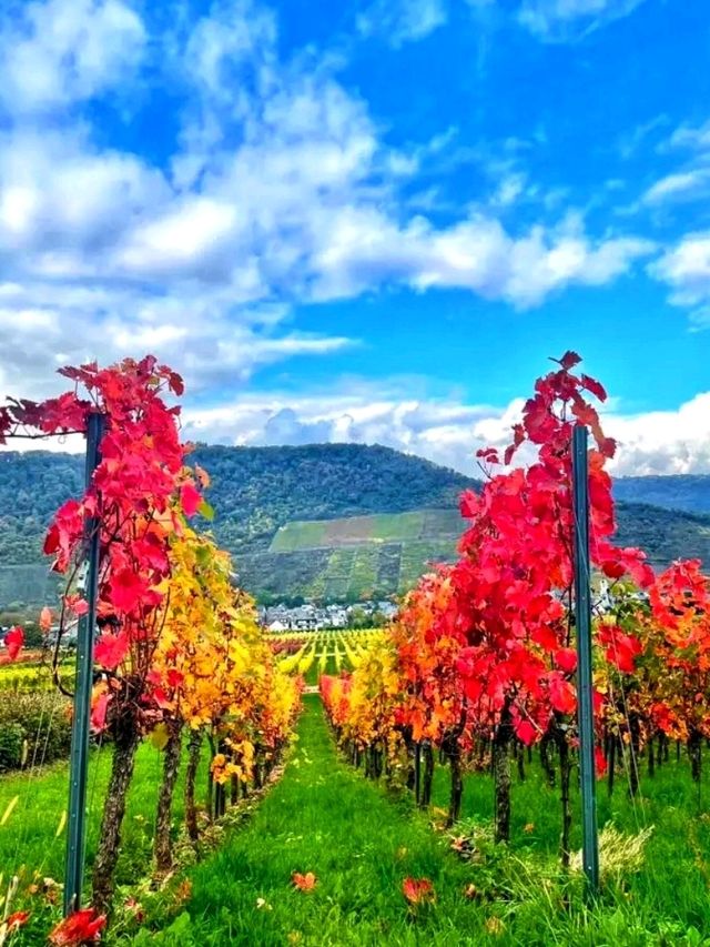 🌸 Cochem – The Fairytale Heart of the Moselle Valley