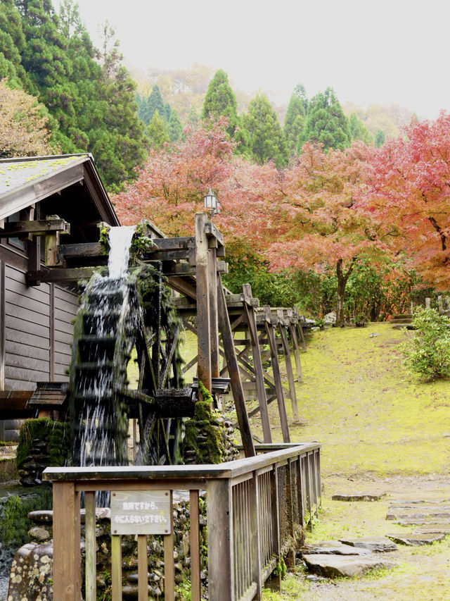 水車小屋の奥の紅葉のグラデーションが絶景