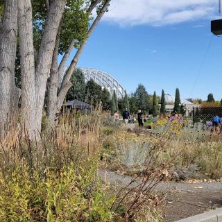Denver Botanic Gardens