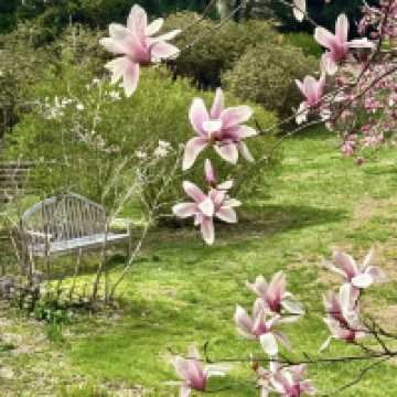 Winterthur Museum, Garden & Library