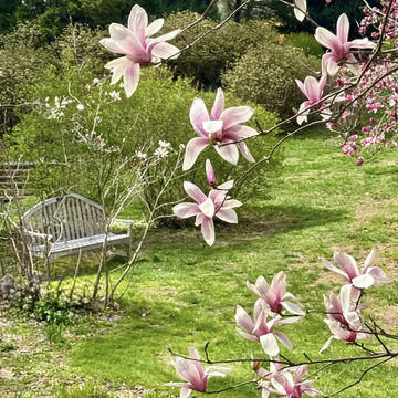 Winterthur Museum, Garden & Library