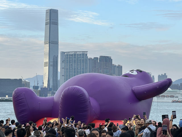 香港好去處 | 金鐘添馬公園 | 維港海上大巡遊