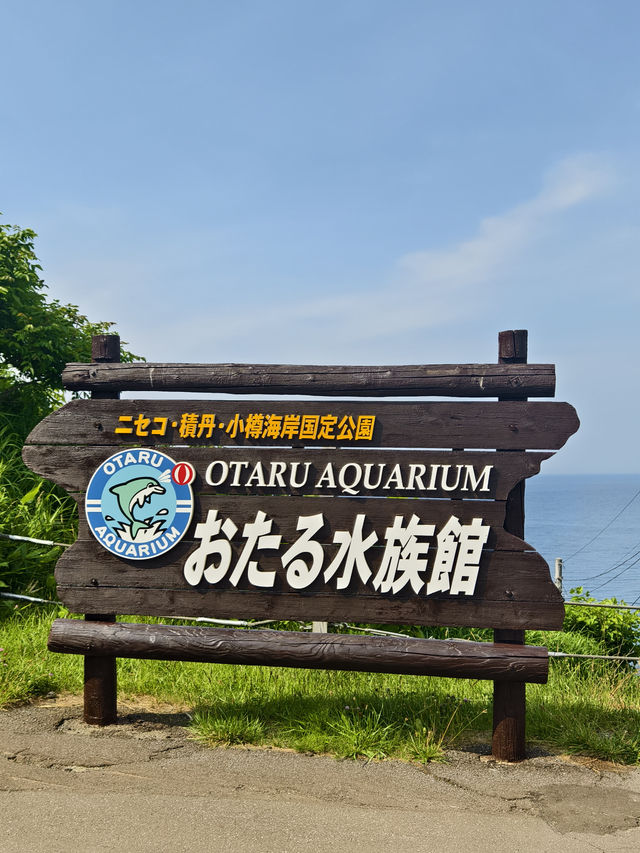 親子必去水族館人氣景點 親子必去水族館人氣景點