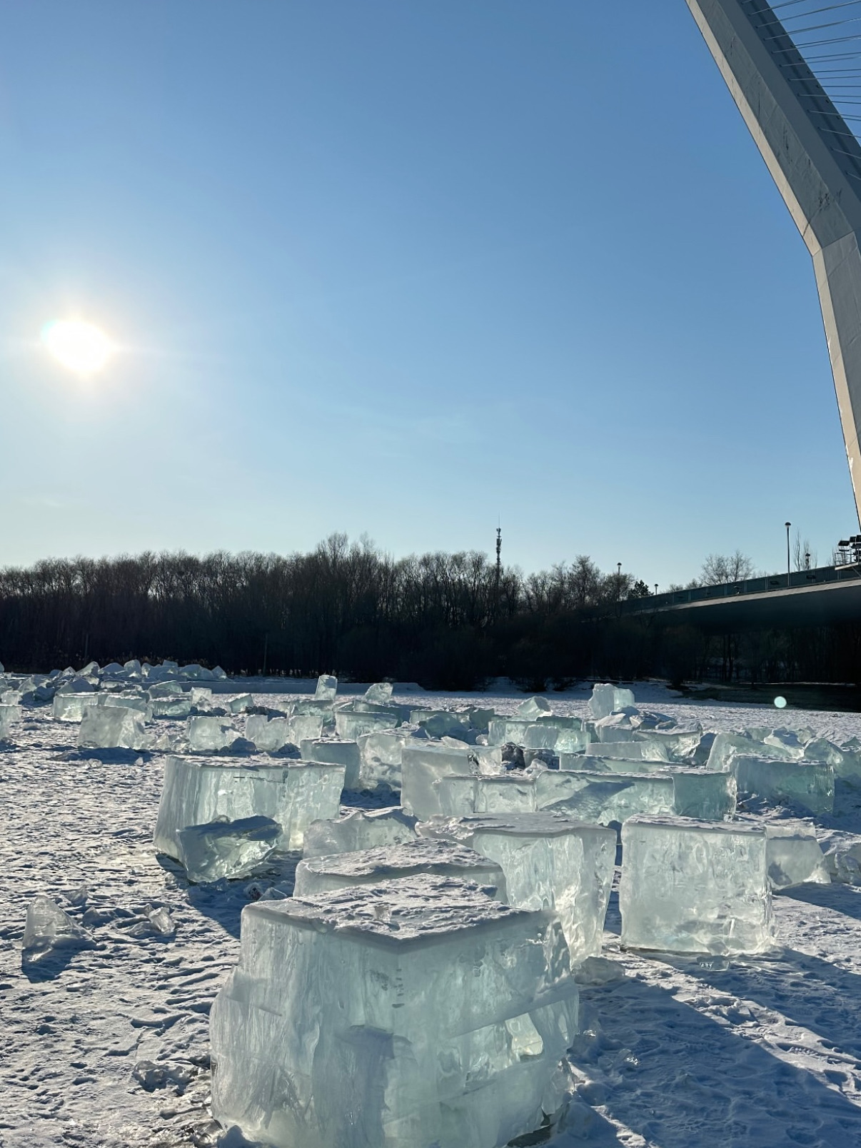 Winter in Harbin is so beautiful! This one-day trip takes you through Harbin's most essential ice and snow attractions: the Songhua River sightseeing ropeway, high-altitude overlooking the Songhua River's magnificent snow scenery, experience the exotic style of the Russian town, and a must-visit Sun Island Snow Expo - enjoy the shocking snow sculpture art up close! Along the way while stepping on the shiny ice, the ice crystals sparkle under the riverside sunshine, very fantastic, winter limited experience burst!

Harbin winter itinerary inventory guide

1️⃣ Songhua River Sightseeing Cableway
In the morning, it is recommended to start from the Songhua River Sightseeing Cableway. The cable car crosses the Songhua River and has a panoramic view of the white snow-country scenery! Looking down from the air, the bustling Harbin blends with the glacier, and it feels spectacular. Next to it is the Songhua River Prevention and Control Memorial Hall. If you are interested, you can stop by.
📍Address: No. 218, Tongjiang Street, Daoli District, Harbin City, Heilongjiang Province
⏰ Opening hours: 08:30 - 20:30
🎫 Tickets: 58 yuan

2️⃣ Walk by the Songhua River
After getting off the cable car, you can go to the Songhua River for a tour. It is recommended to take a look at the freezing situation on the ice that day. Safety is the most important thing! If you are safe enough, you can feel the winter beauty of Songhua River up close. Walking on the shore during daylight hours, the ice crystals are shining in your hands, as if you are in a dream world. In winter, there are few people by the river, so you can enjoy the unique atmosphere of ice and snow quietly.

📍Address: Hulan District, Harbin City, Heilongjiang Province
⏰ Open year-round

3️⃣ Sun Island Snow Expo
The highlight of Harbin winter must be the Sun Island Snow Expo! The beautiful large snow sculptures are designed differently every year, this time there is a giant lion snow sculpture, the three-dimensional sense and details are very shocking, taking pictures in the sun is beautiful and healing. It is recommended to arrive at noon or afternoon for the best light for a snowy white screen! The exhibition venue is large, so you can watch slowly. Remember to wear non-slip shoe covers to walk safer.
📍Address: Sun Island Scenic Area, No. 3 Sun Avenue, Songbei District, Harbin City
⏰ Opening hours: 08:30 - 17:30

4️⃣ Russian style town
After seeing the snow sculptures, you might as well go to the Russian-style town across the street. The European-style architecture, exotic cafes are super tasteful, and you can also buy specialty snacks as souvenirs. Suitable for hiking the ice and snow scenery and then leisurely enjoy a cup of hot drink to warm up, feel the rich exotic atmosphere, photo photos are very brilliant ~
📍Address: No. 10, Sun Island Scenic Street, Pingyuan Road, Songbei District, Harbin, Heilongjiang
⏰ Opening hours: 08:30 - 17:30
🎫 Tickets: 50 yuan

⚡Itinerary Tips
- Non-slip shoe covers essential! The ground in Harbin is easy to freeze in winter. Be careful when hiking by the river, otherwise you may slip.
- Tickets are available for Russian towns and snow fairs, remember to buy online in advance to avoid the hassle of queuing.
- It is recommended to bring sunglasses, snow sunshine is very reflective, protect your eyes while taking more beautiful photos.
- The Snow Expo venue is huge, remember to allow enough time to slowly see it.
- Riverside safety comes first, avoid getting close to the ice in case of incomplete freezing.

Transportation guide
It is very convenient to get to major attractions by subway or Didi Chuxing in the city. Tiandi Road is more congested in winter. It is recommended to estimate the time in advance.
Food recommendations
There are many specialty restaurants near Sun Island. It is recommended to try Harbin red sausage, Russian pies and yogurt. If you are afraid of the cold and want to enjoy a hot drink, the cafe in the Russian town is worth a try!

Sometimes snow is the best filter. The beauty of Harbin winter needs to be experienced firsthand. Bring your friends to take a picture!

#HarbinWinterRoam #SnowExpo #Songhua River Cableway #Russian Town Exploration #Ice and Snow Trip Tips