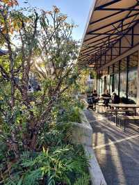 A Fresh and Healthy Lunch at Mr. Farmer