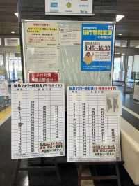 🚢 【1時間半で完結!朝イチ🌋桜島プラン】