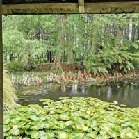 Ayrlies Garden and Wetlands