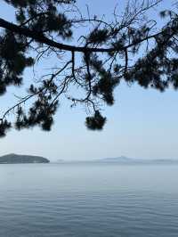 바다와 갯벌, 산과 숲이 어우러진 풍경이 아름다운 태안여행