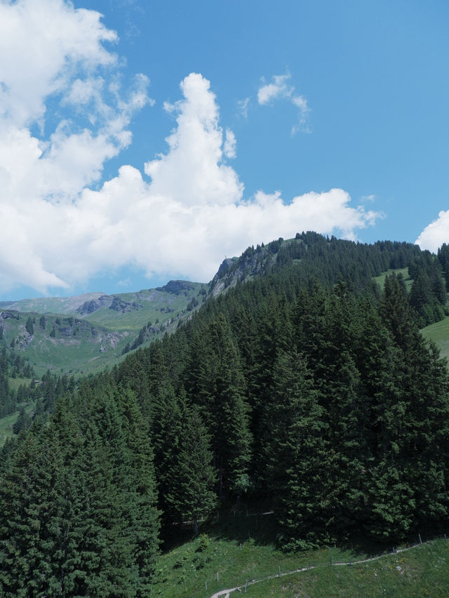 瑞士First菲斯特：主要景點 