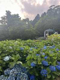 箱根・仙石原の隠れ宿。露天風呂付客室で贅沢な温泉と旬の和食を満喫。