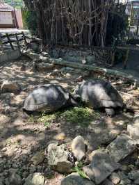 🇯🇵沖繩玉泉洞 × 沖繩世界王國村|走進神秘地底與琉球文化的一天