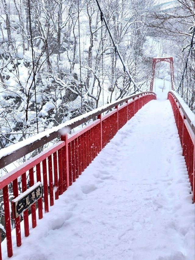定山溪溫泉+萬世閣飯店 忘不了的北海道之旅