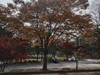 Sangdang Sanseong Fortress 상당산성