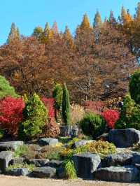 가을이 포근하게 감싸주는 경남수목원