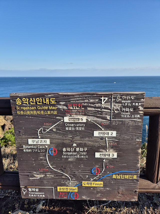 ☀️ 제주 송악산 둘레길, 한 바퀴로 만나는 서귀포 풍경 🌊