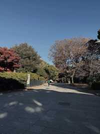 Tokyo’s Ueno Park: Autumn Feels & Family Vibes 🍁✨