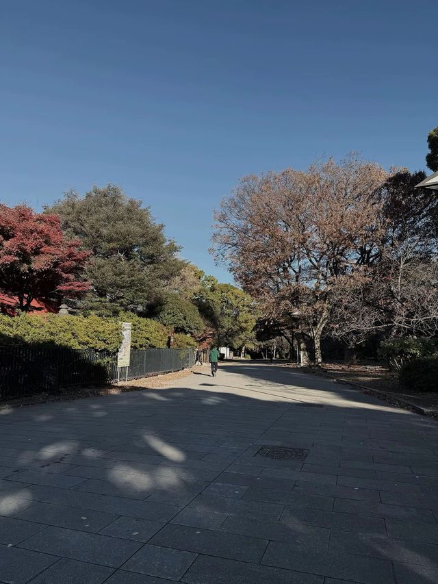 Tokyo’s Ueno Park: Autumn Feels & Family Vibes 🍁✨ Tokyo’s Ueno Park: Autumn Feels & Family Vibes 🍁✨